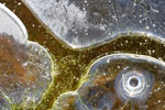 Abstract