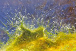 Abstract