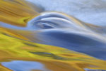 Abstract