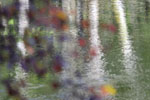 Abstract